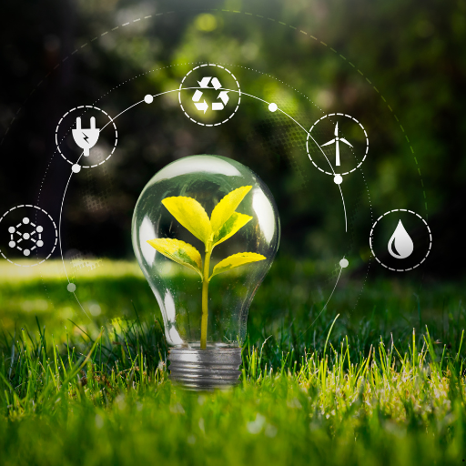 ProQual Level 6 Diploma in Environmental and Sustainability Management