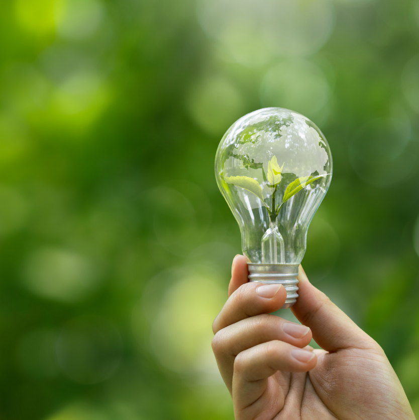 ProQual Level 1 Award in Understanding Carbon Awareness and Energy Management