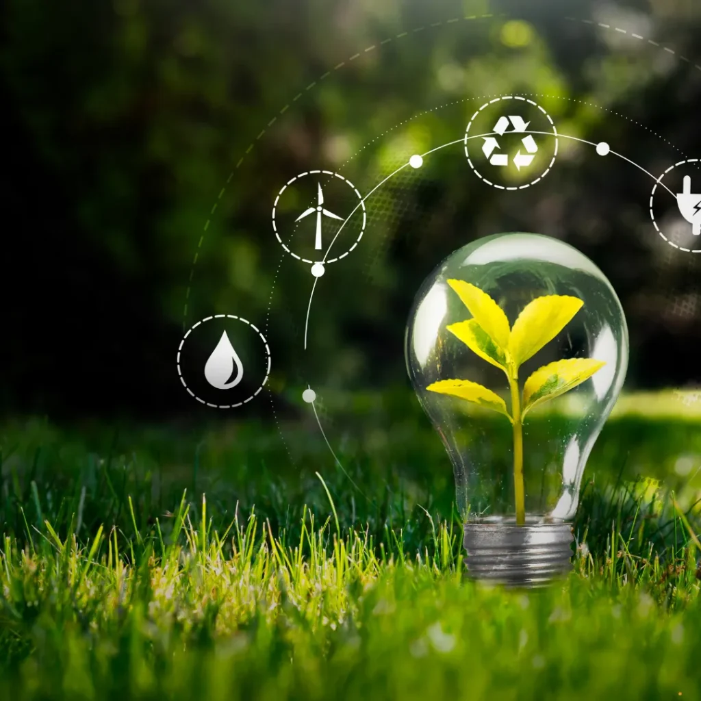 ProQual Level 6 Diploma in Environmental and Sustainability Management