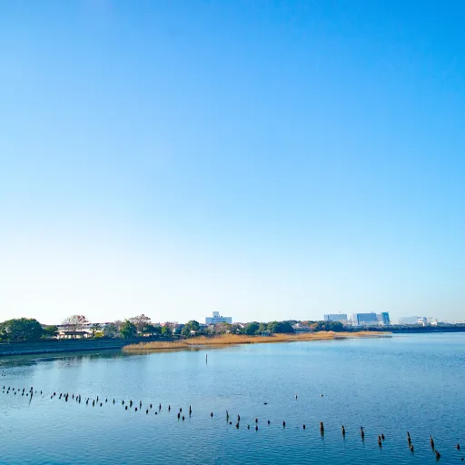 ICTQual Level 2 Award in Wildlife Related Conventions (CITES, CMS, CBD Ramsar)