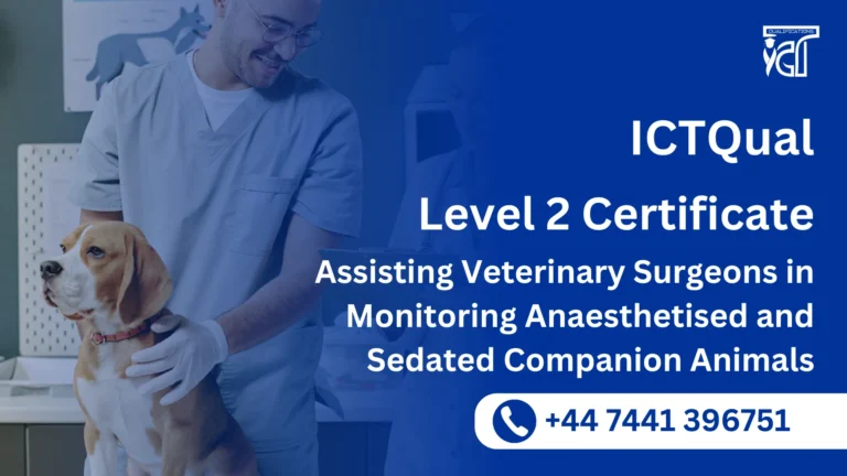 ICTQual Level 2 Certificate in Assisting Veterinary Surgeons in Monitoring Anaesthetised and Sedated Companion Animals