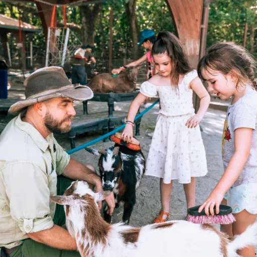 ICTQual Level 3 Award in the Licensing of Selling Animals as Pets 5 ICTQual Level 3 Award in the Licensing of Selling Animals as Pets