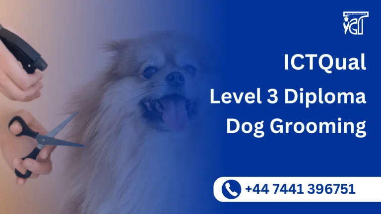 ICTQual Level 3 Diploma in Dog Grooming