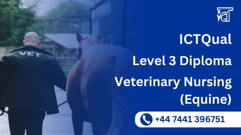 ICTQual Level 3 Diploma in Veterinary Nursing (Equine)