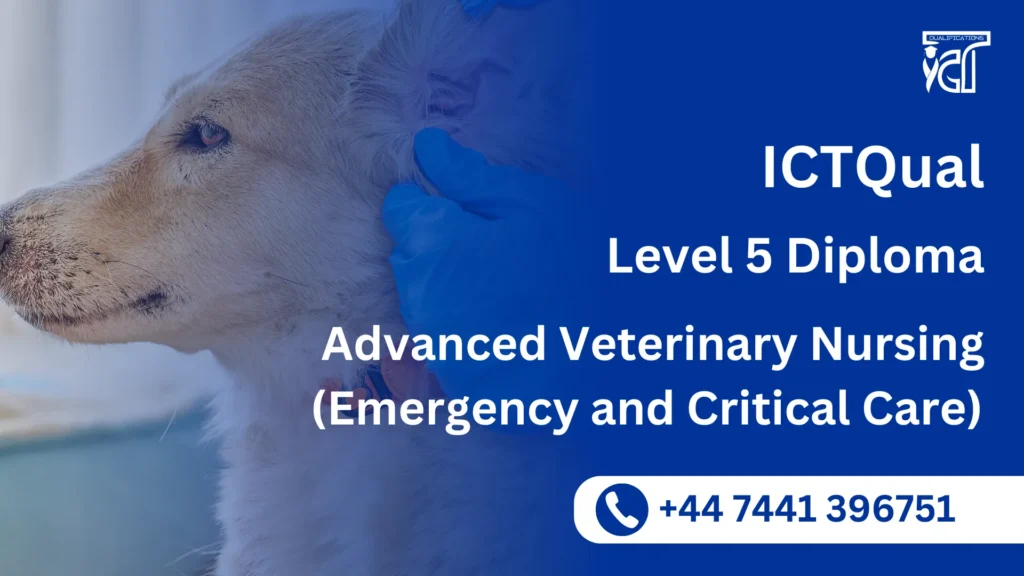 ICTQual Level 5 Diploma in Advanced Veterinary Nursing (Emergency and Critical Care) 