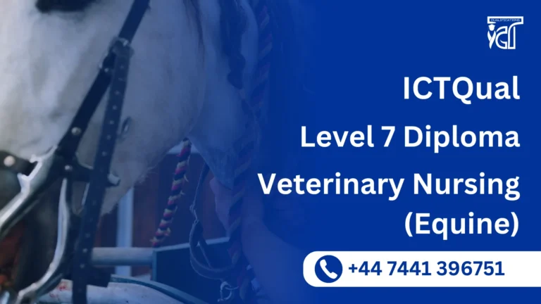 ICTQual Level 7 Diploma in Veterinary Nursing (Equine)