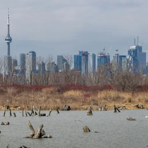 ICTQual Level 3 Award in Principles of Protected Areas Management 5 ICTQual Level 3 Award in Principles of Protected Areas Management