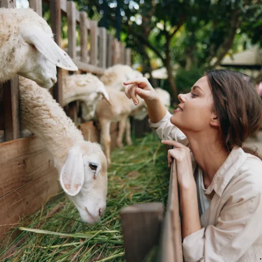 ICTQual Level 3 Diploma in Zoo Management and Animal Keeping