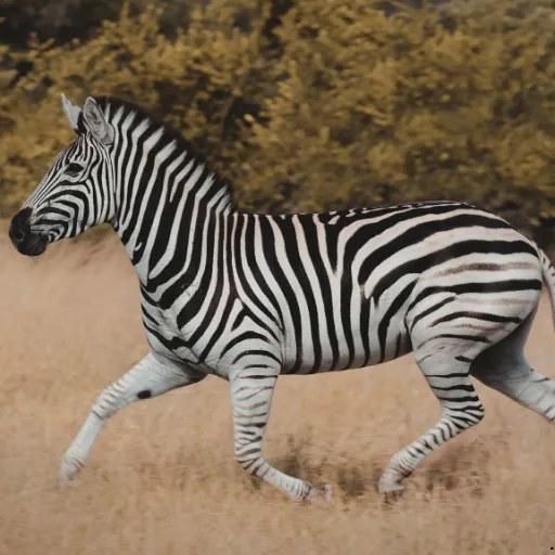 ICTQual Level 4 Diploma in Wildlife Habitat Analysis 5 ICTQual Level 4 Diploma in Wildlife Habitat Analysis