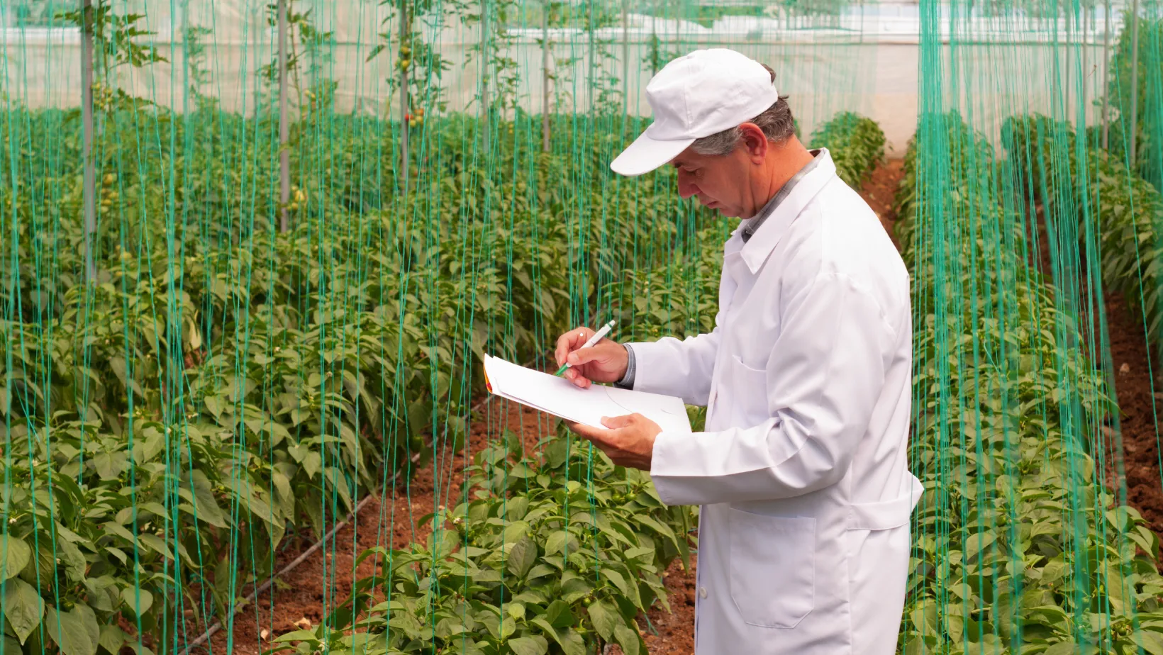 ICTQual Level 2 Diploma in Agriculture Engineering