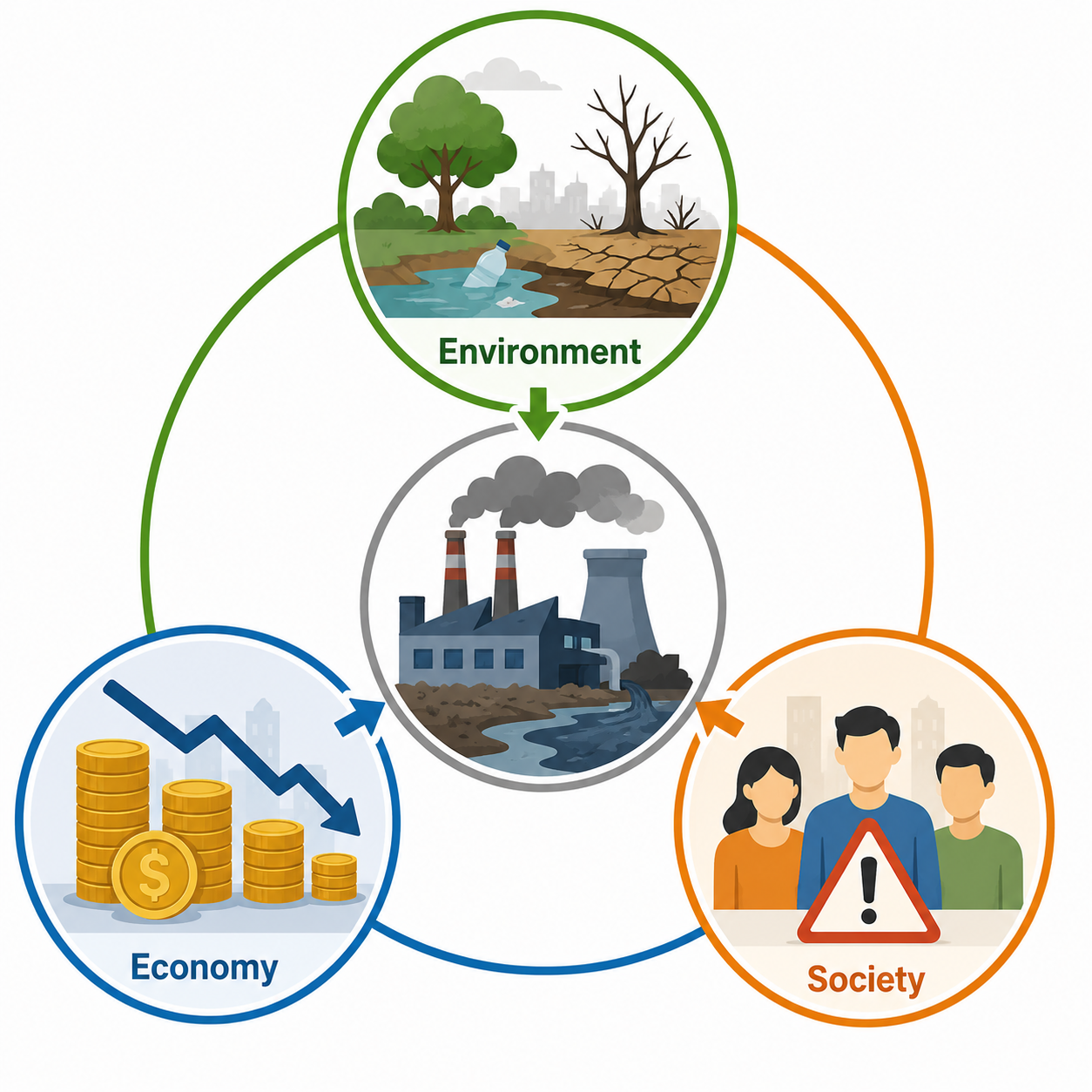 Environmental impact cycle and pollution effects
